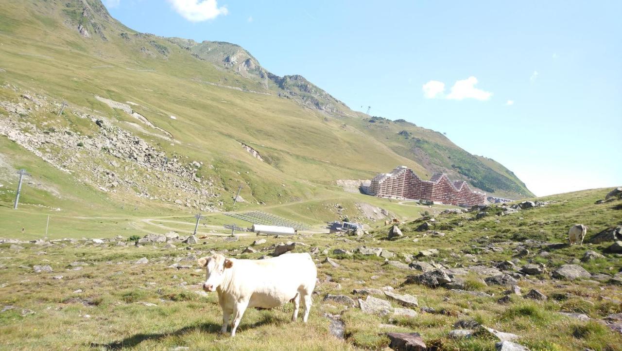 Studio En Pleine Montagne Avec Vue Sur Marmottes La Mongie Ngoại thất bức ảnh