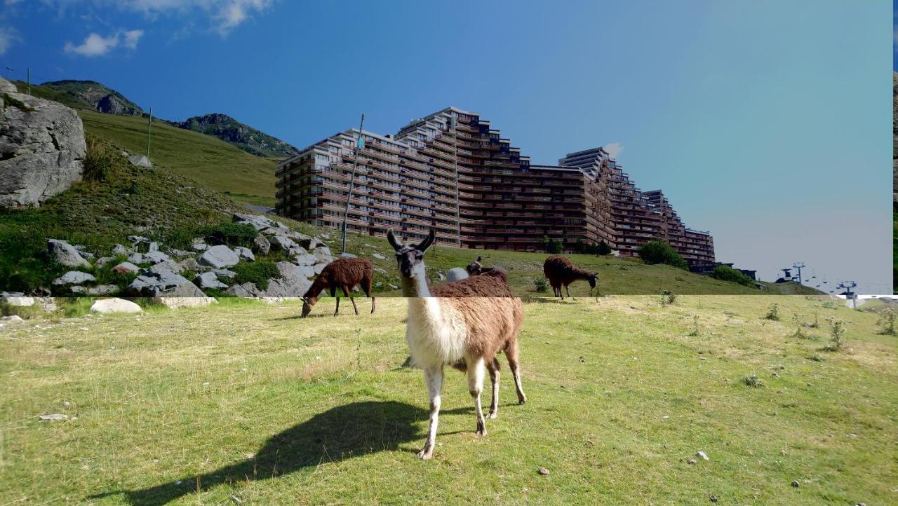 Studio En Pleine Montagne Avec Vue Sur Marmottes La Mongie Ngoại thất bức ảnh